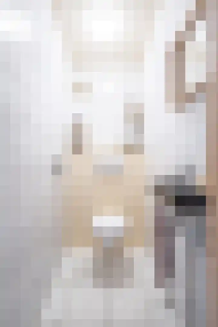 Voorstraat 3 Tzum thumbnail 13