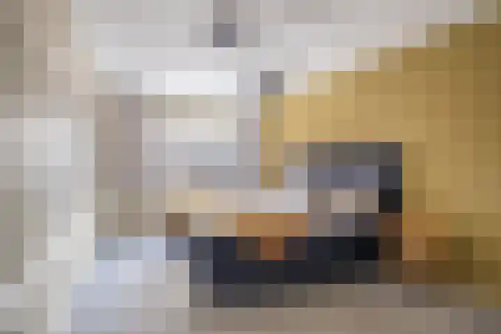 Voorstraat 3 Tzum thumbnail 39
