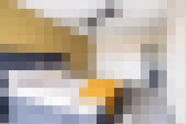 Voorstraat 3 Tzum thumbnail 40