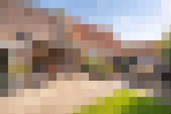 Voorstraat 3 Tzum thumbnail 49