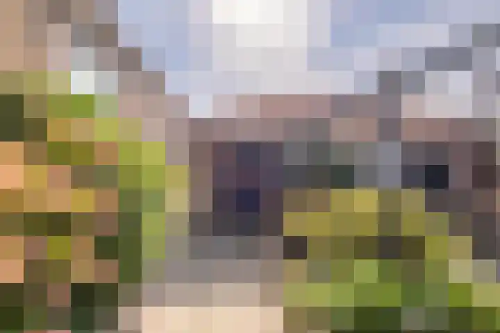 Voorstraat 3 Tzum thumbnail 52