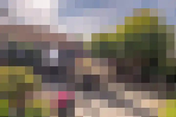 Voorstraat 3 Tzum thumbnail 53
