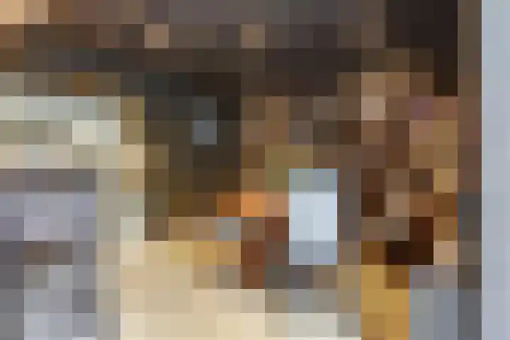 Voorstraat 3 Wissenkerke thumbnail 10