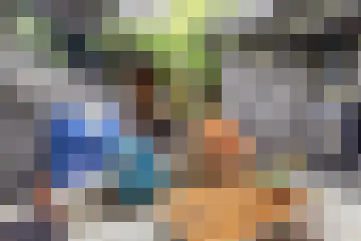 Voorstraat 3 Wissenkerke thumbnail 12