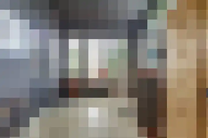 Voorstraat 3 Wissenkerke thumbnail 15