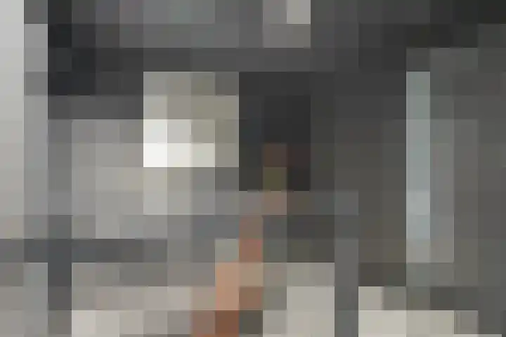 Voorstraat 3 Wissenkerke thumbnail 20
