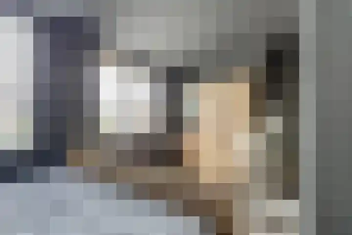 Voorstraat 3 Wissenkerke thumbnail 22