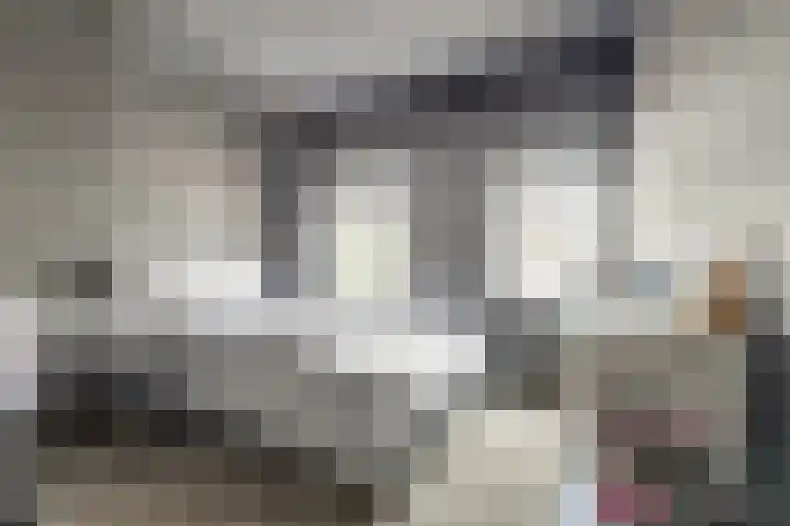 Voorstraat 3 Wissenkerke thumbnail 24