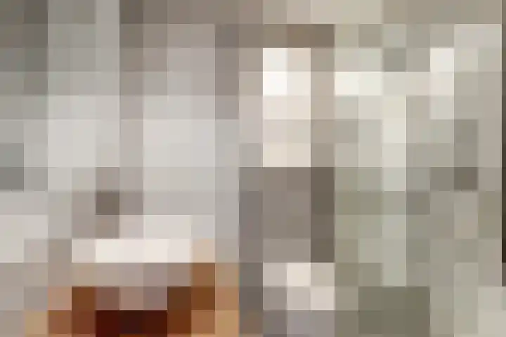 Voorstraat 3 Wissenkerke thumbnail 29