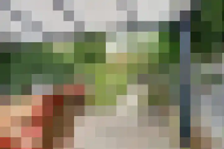 Voorstraat 3 Wissenkerke thumbnail 32