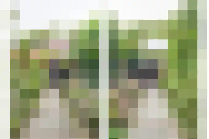 Voorstraat 3 Wissenkerke thumbnail 33