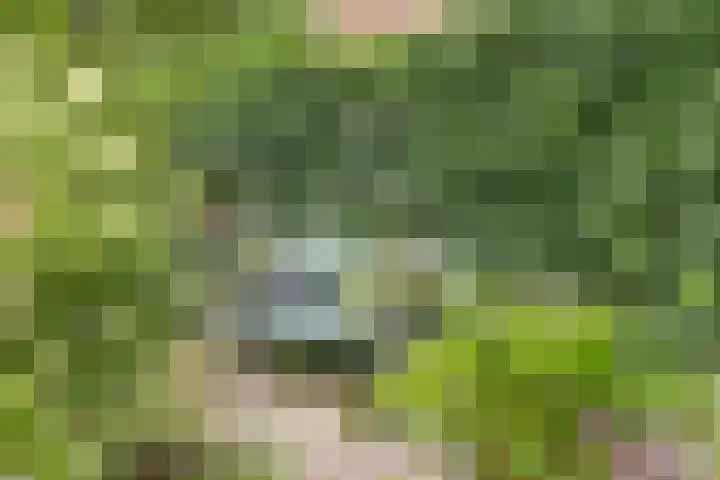 Voorstraat 3 Wissenkerke thumbnail 34