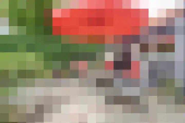 Voorstraat 3 Wissenkerke thumbnail 35