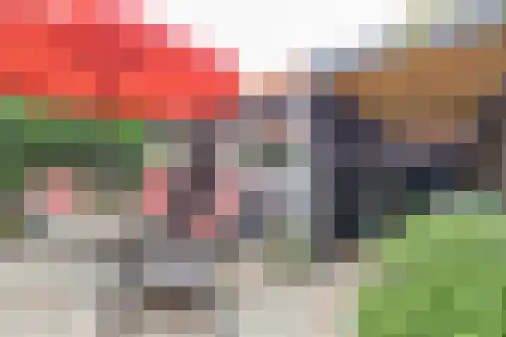 Voorstraat 3 Wissenkerke thumbnail 36