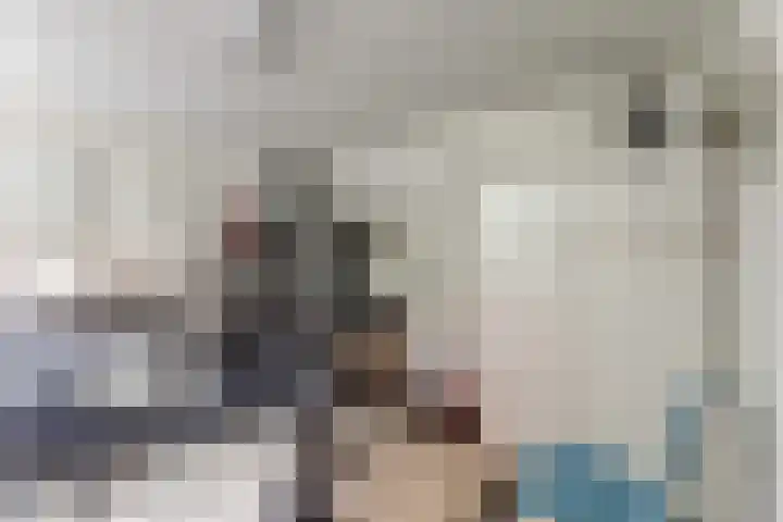 Voorstraat 3 Wissenkerke thumbnail 37