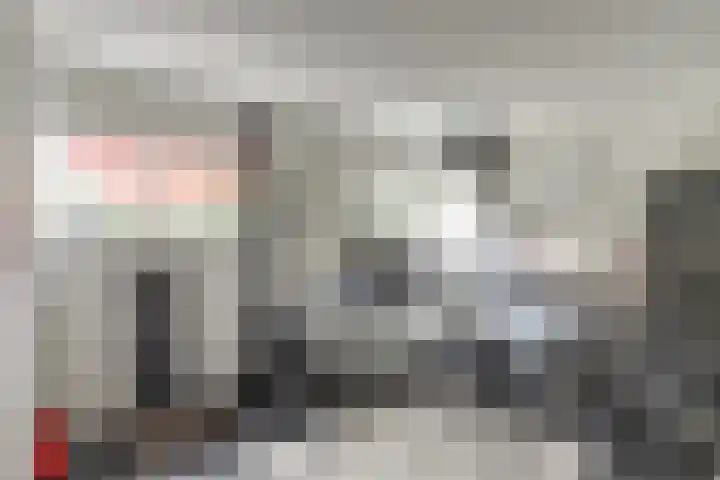 Voorstraat 3 Wissenkerke thumbnail 38