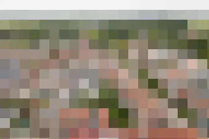 Voorstraat 3 Wissenkerke thumbnail 39
