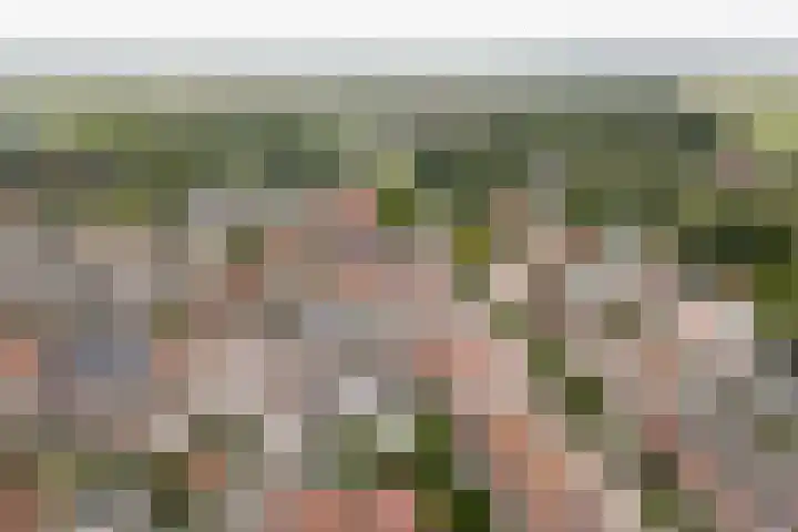 Voorstraat 3 Wissenkerke thumbnail 40
