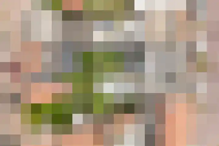 Voorstraat 3 Wissenkerke thumbnail 41