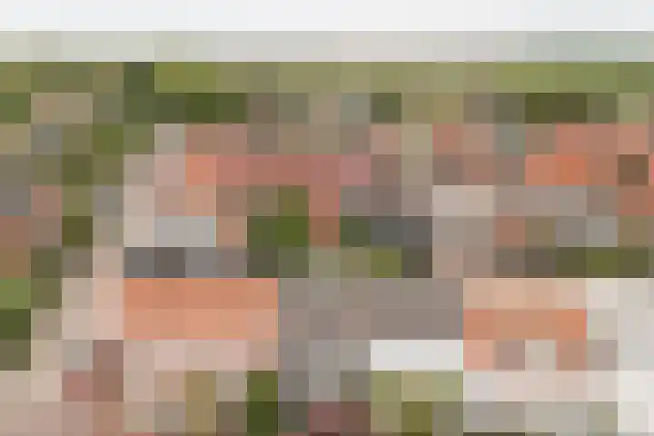 Voorstraat 3 Wissenkerke thumbnail 42