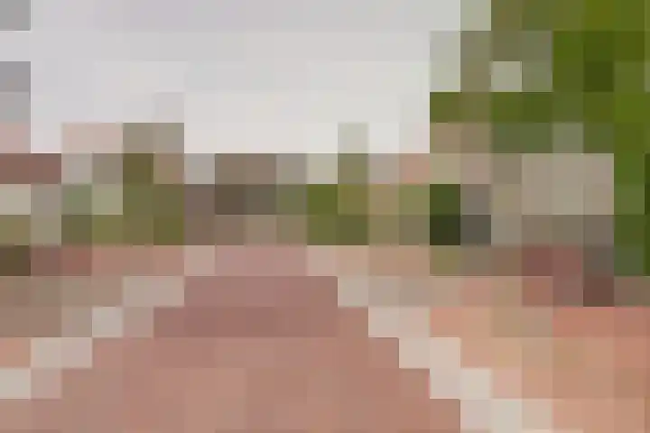 Voorstraat 3 Wissenkerke thumbnail 45