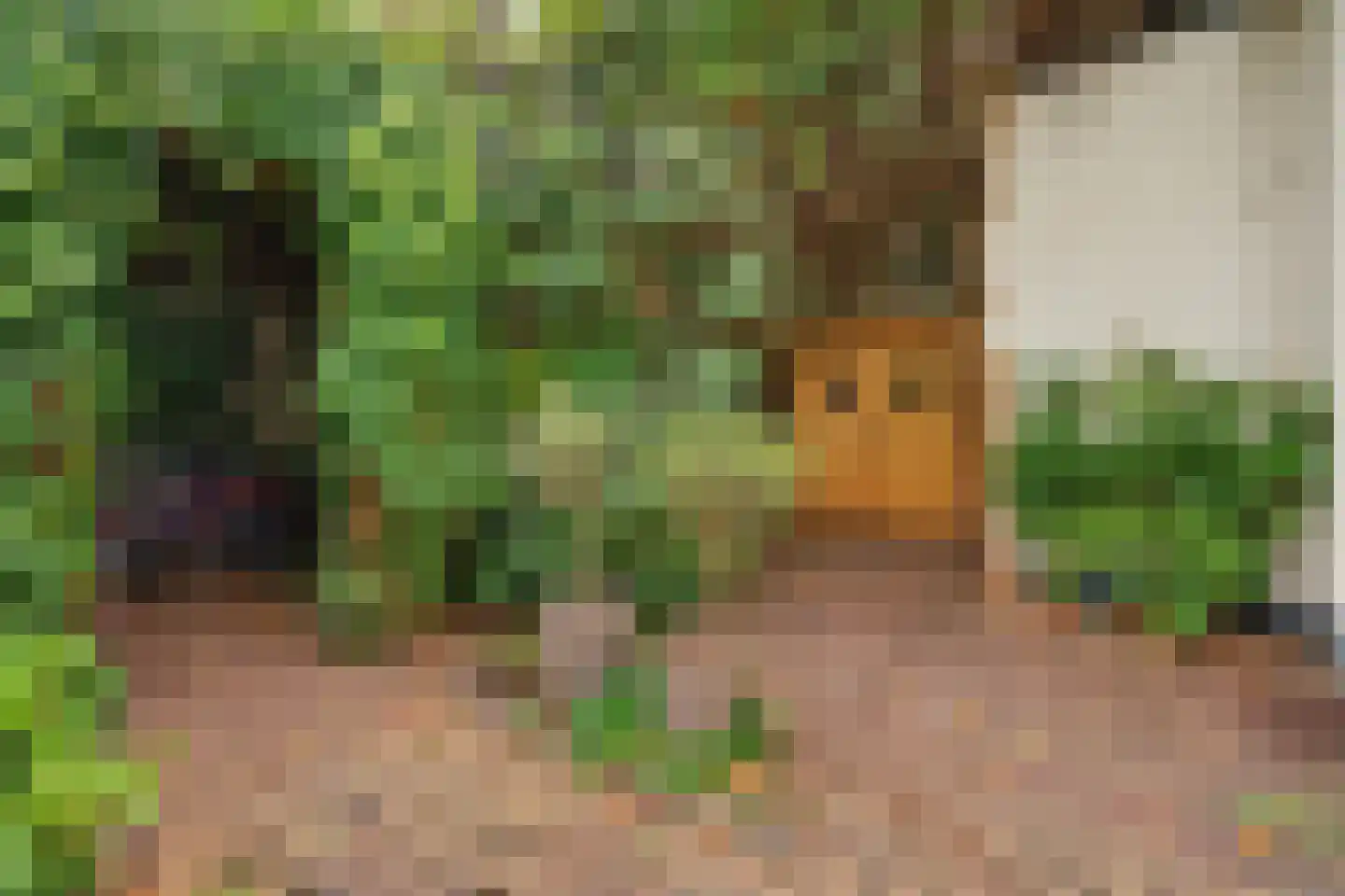 Voorstraat 30 Colijnsplaat thumbnail 11
