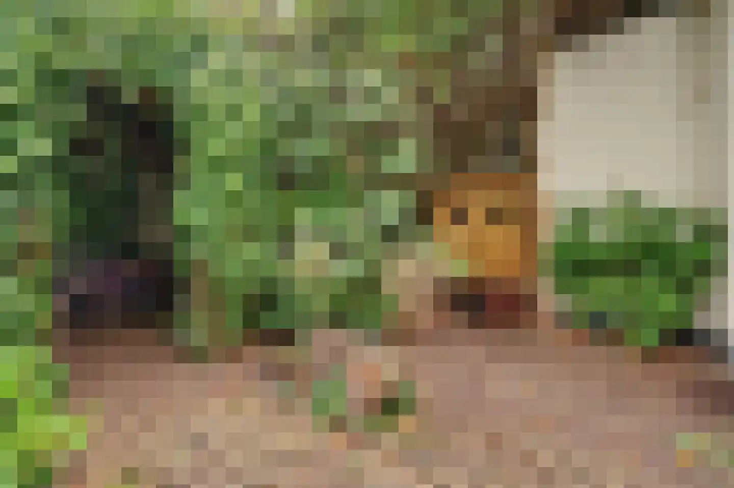 Voorstraat 30 Colijnsplaat thumbnail 11