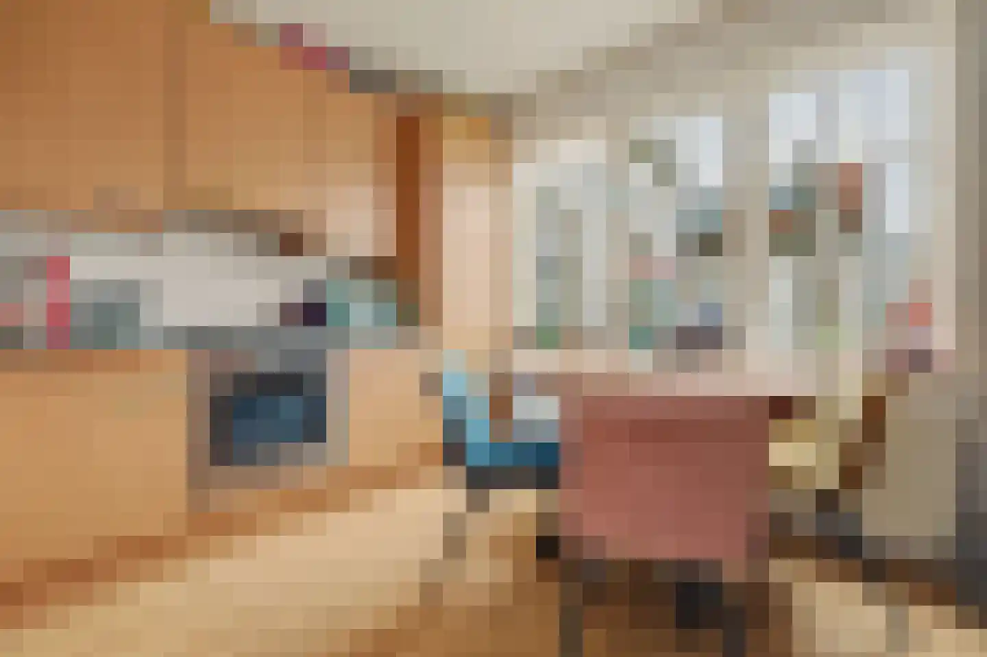 Voorstraat 30 Colijnsplaat thumbnail 24