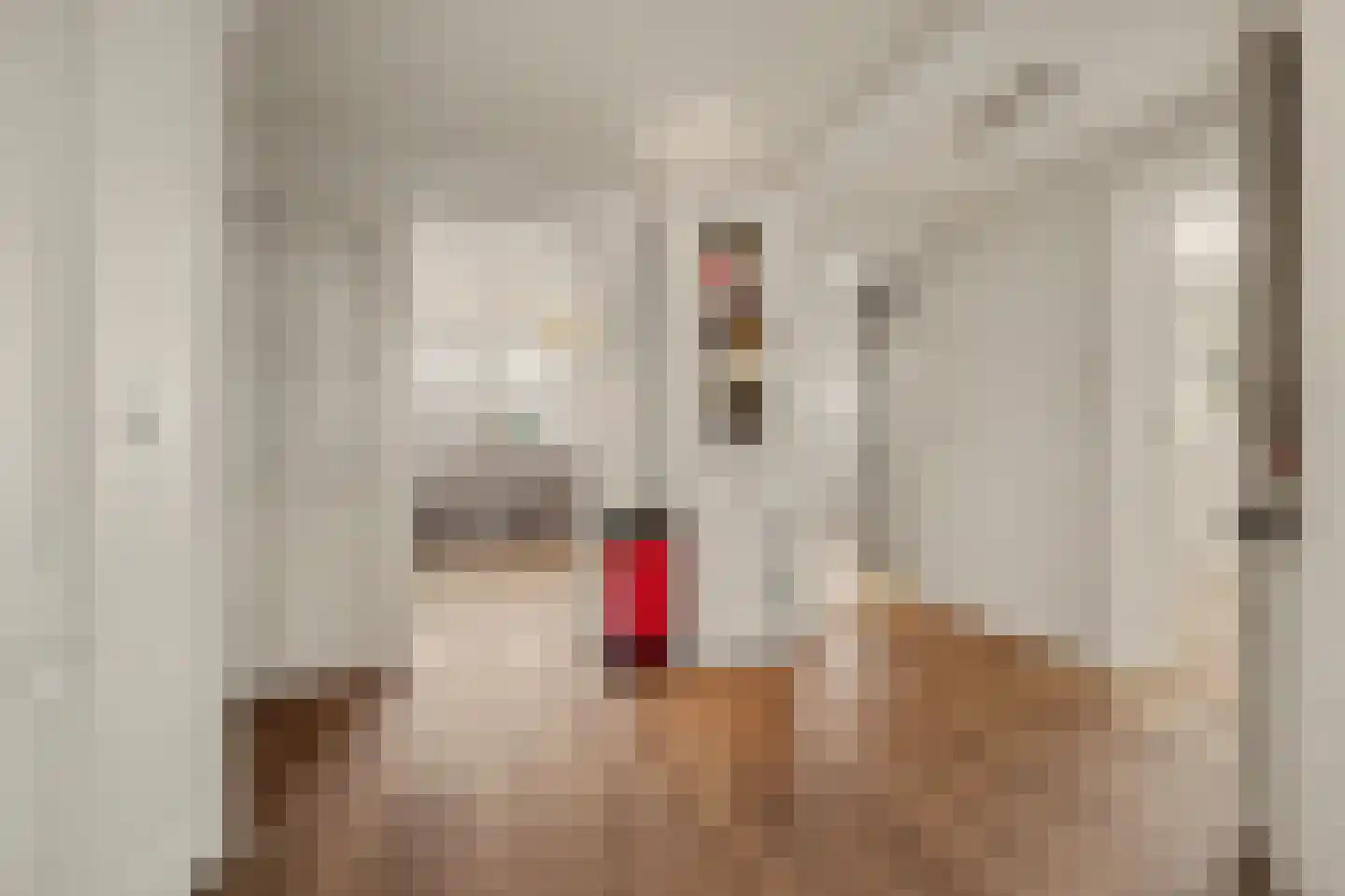 Voorstraat 30 Colijnsplaat thumbnail 27