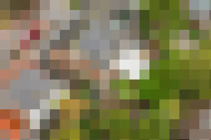 Voorstraat 30 Groot-Ammers thumbnail 38