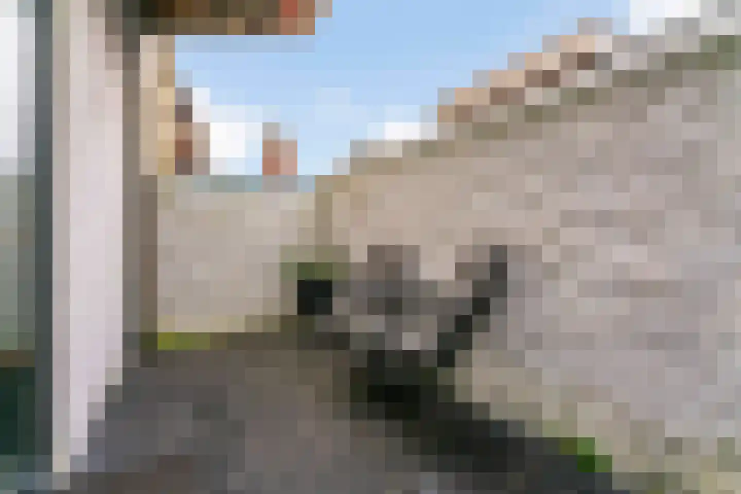 Voorstraat 30 Wijk aan Zee thumbnail 24