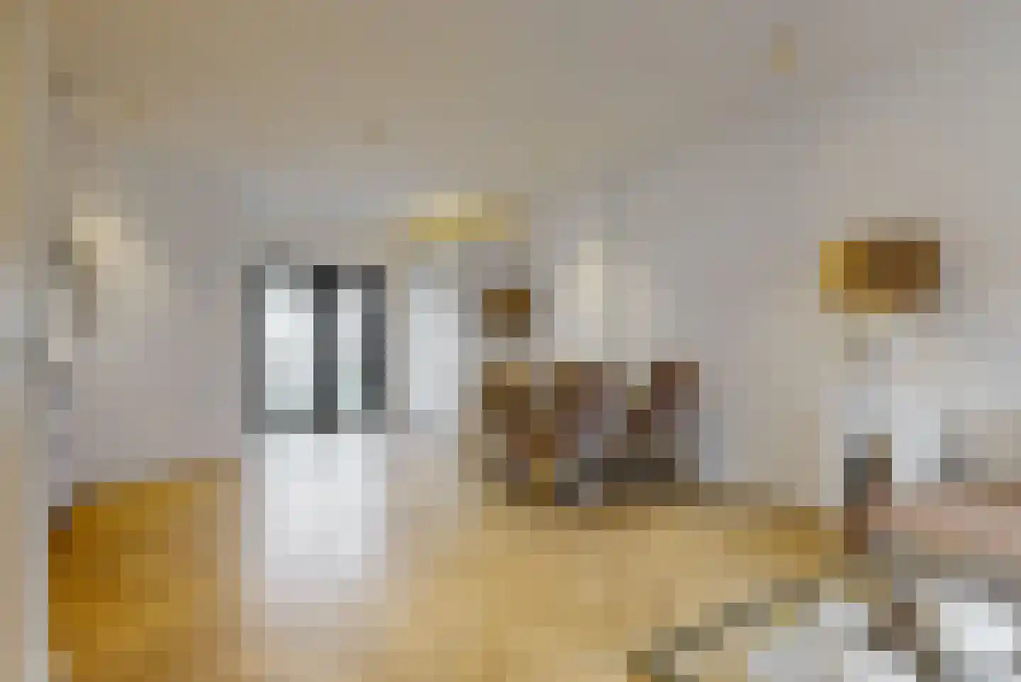 Voorstraat 30 Wijk aan Zee thumbnail 6