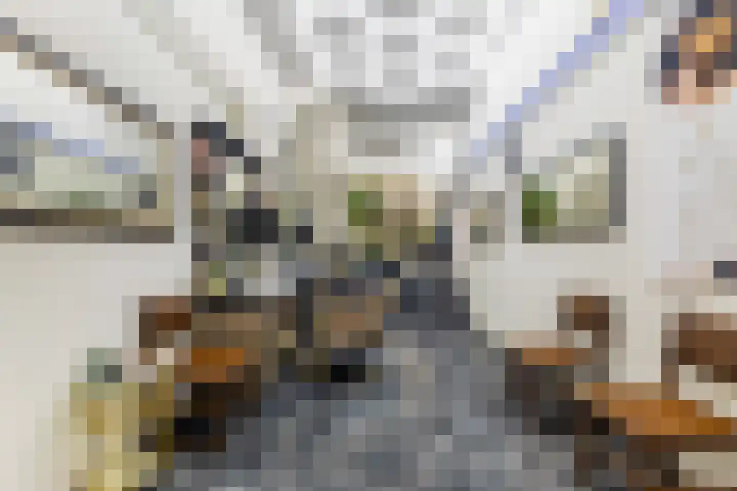 Voorstraat 307 Dordrecht thumbnail 4
