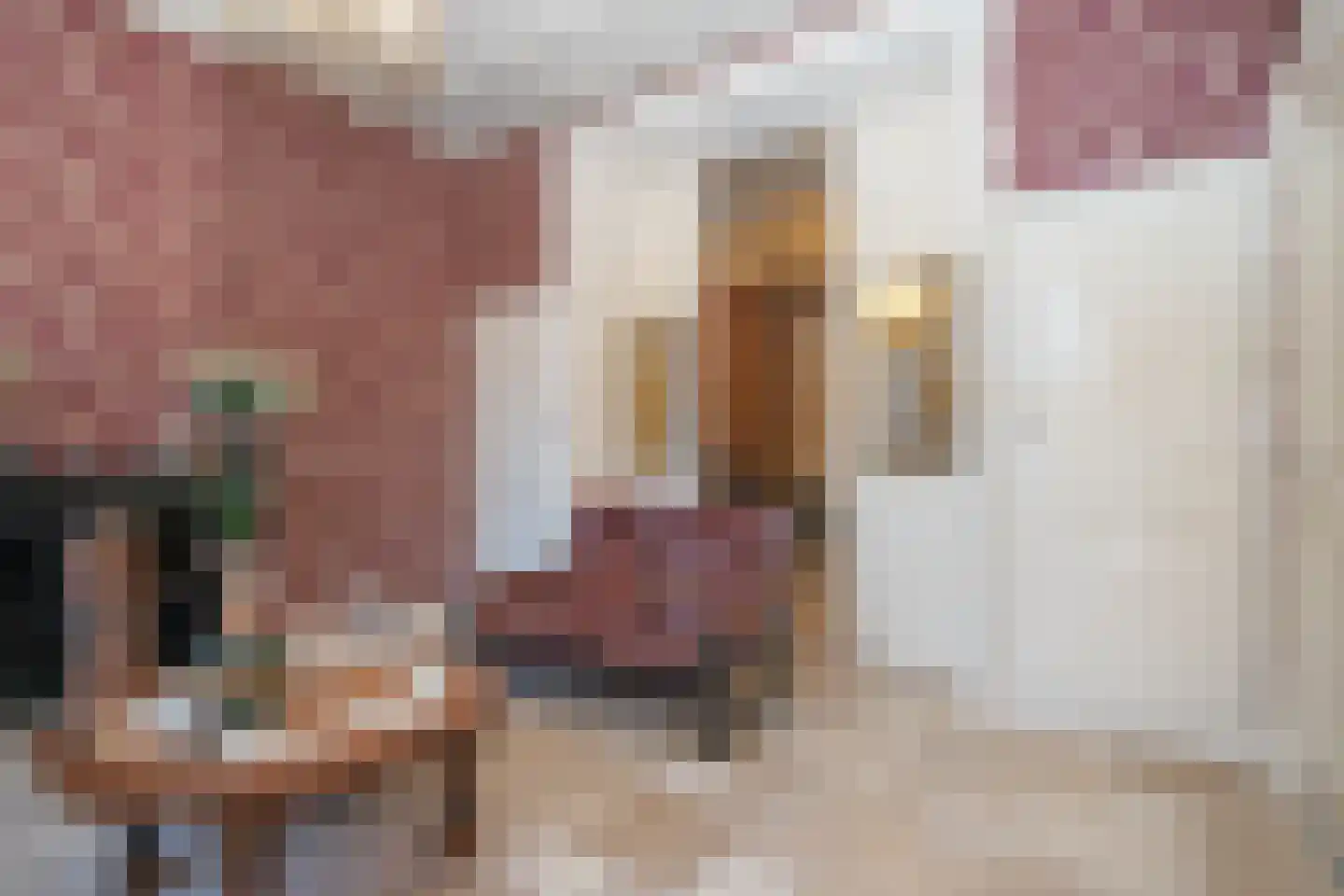 Voorstraat 31 a Woudenberg thumbnail 10