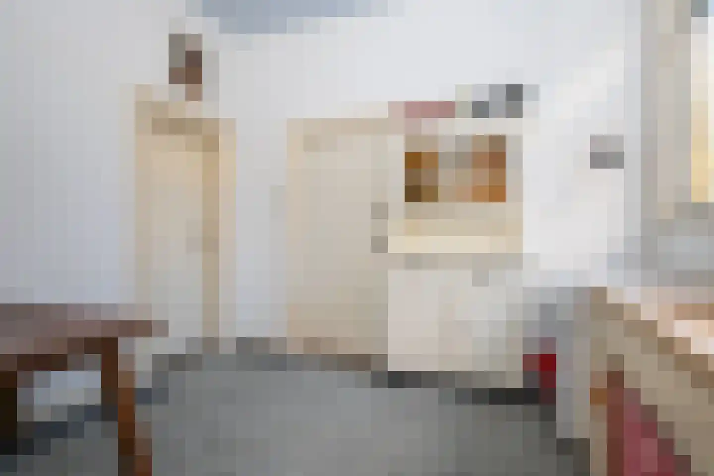 Voorstraat 31 a Woudenberg thumbnail 17