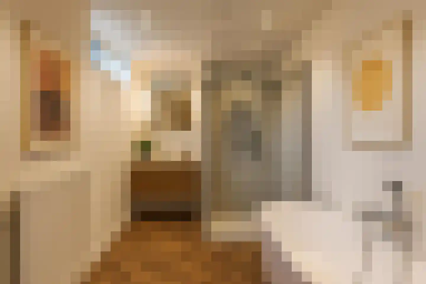 Voorstraat 31 Bad Nieuweschans thumbnail 11