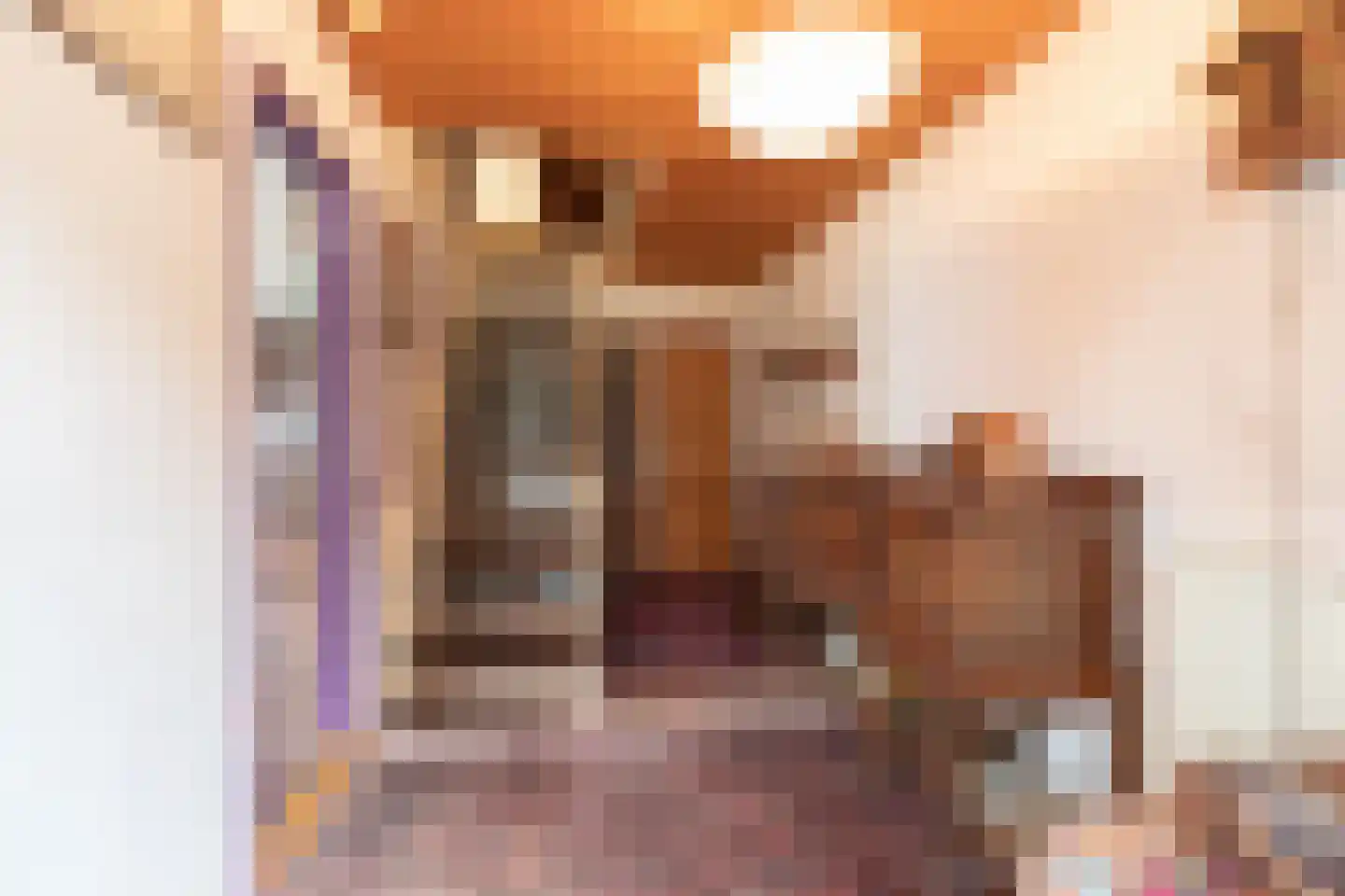 Voorstraat 31 Bad Nieuweschans thumbnail 20