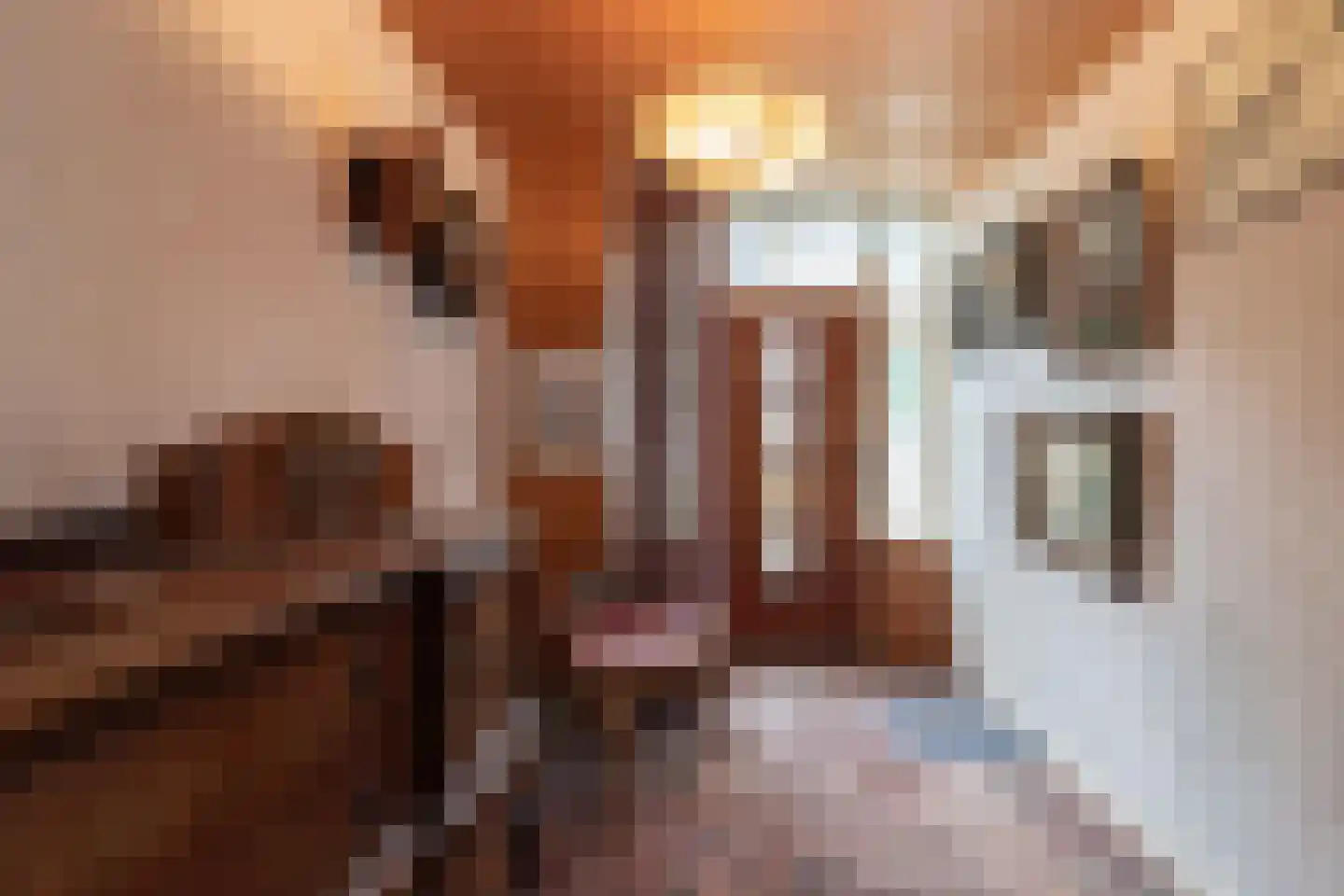 Voorstraat 31 Bad Nieuweschans thumbnail 21