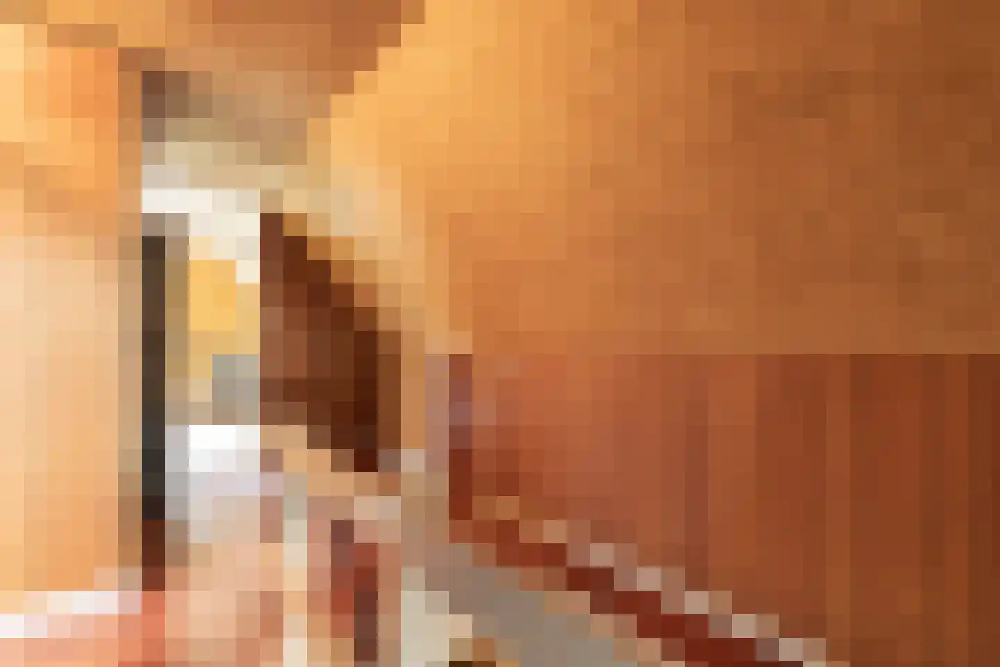 Voorstraat 31 Bad Nieuweschans thumbnail 32