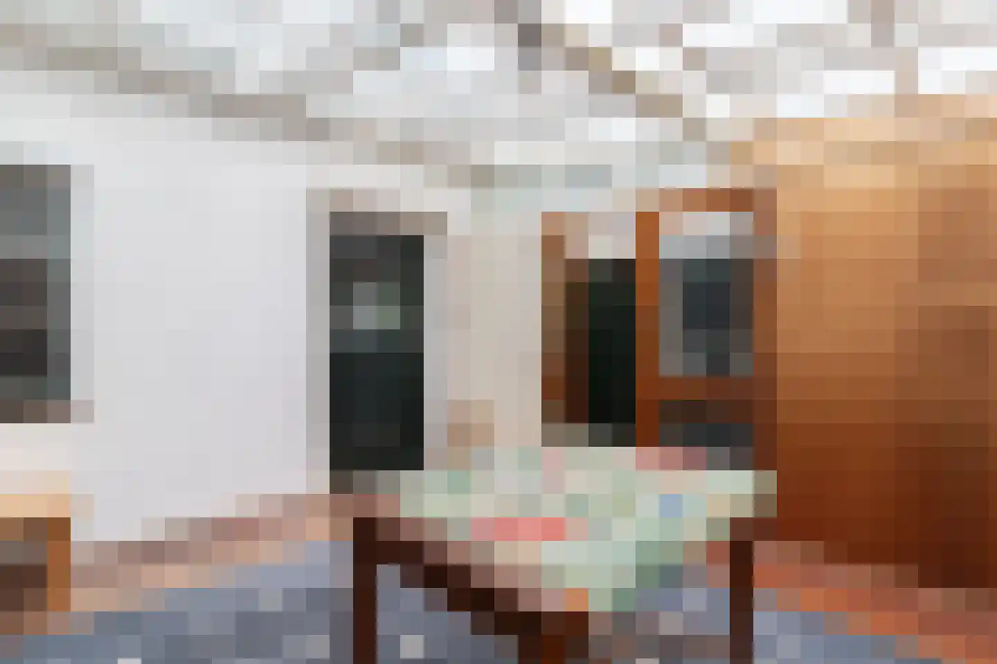 Voorstraat 31 Bad Nieuweschans thumbnail 41