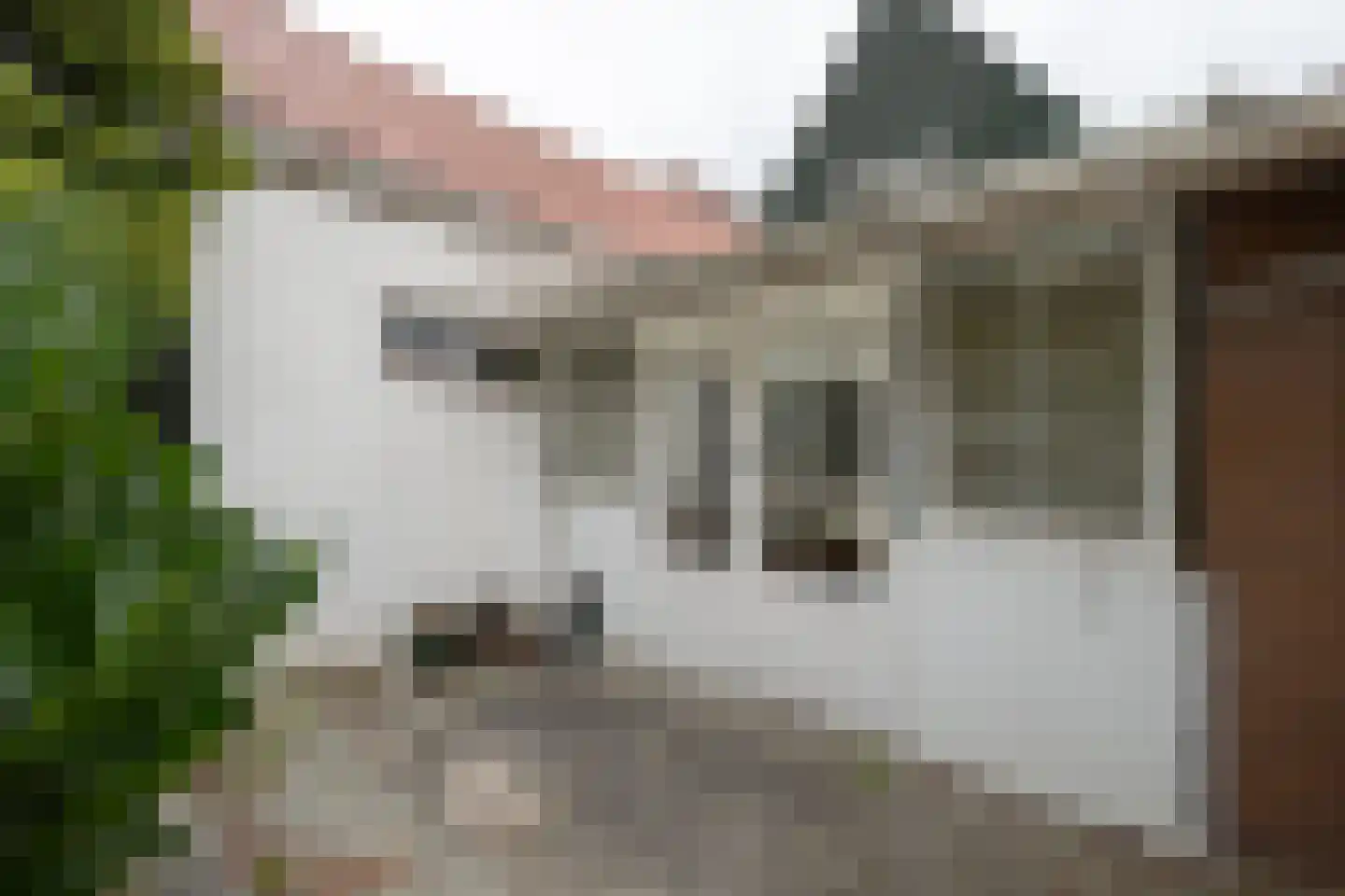 Voorstraat 31 Bad Nieuweschans thumbnail 43
