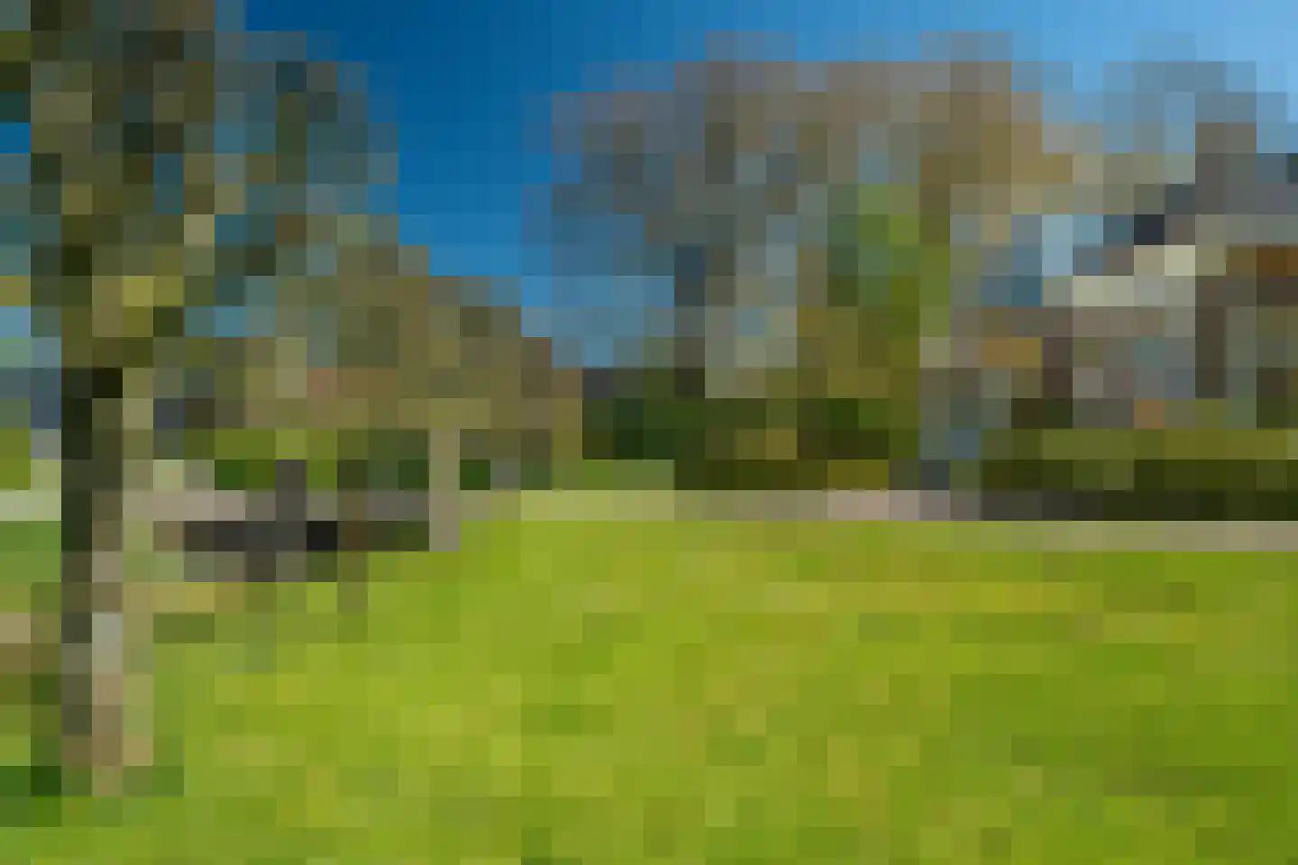 Voorstraat 31 Blije thumbnail 10