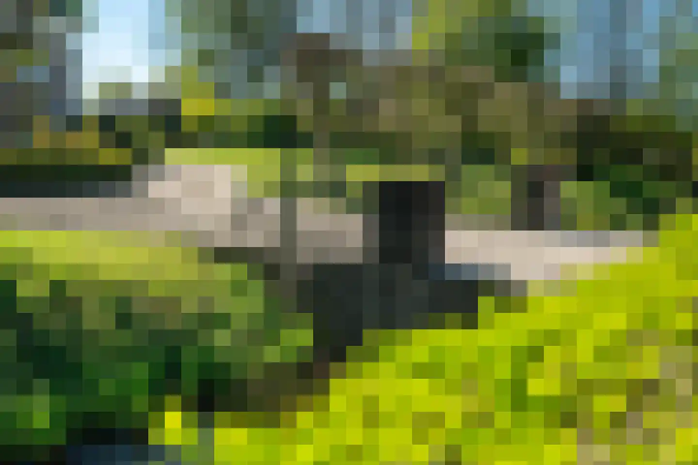 Voorstraat 31 Blije thumbnail 15