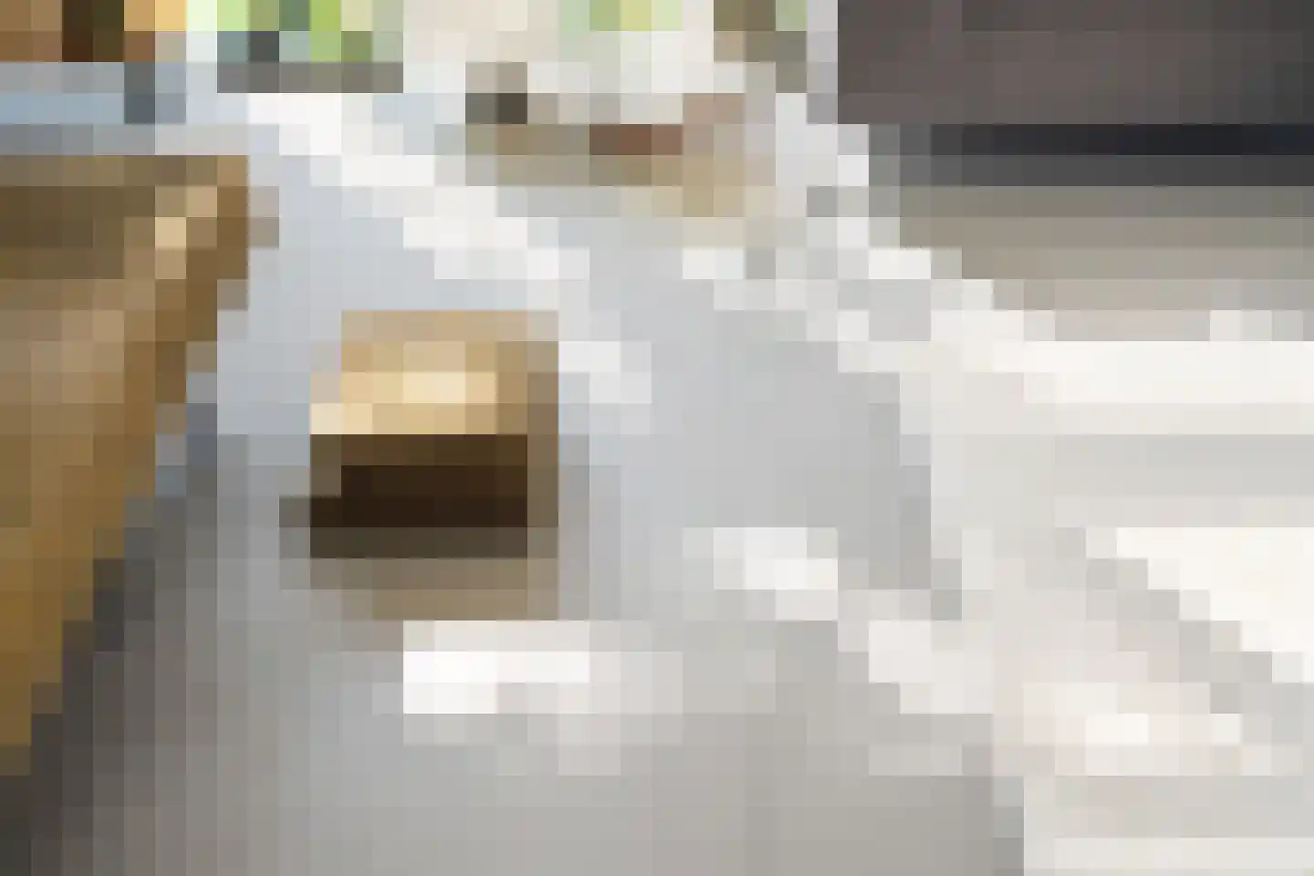 Voorstraat 31 Blije thumbnail 24
