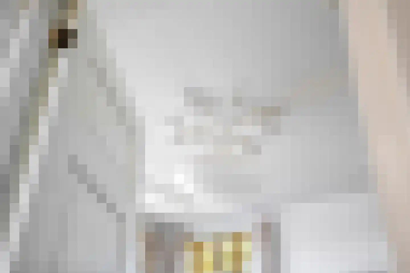 Voorstraat 31 Blije thumbnail 43