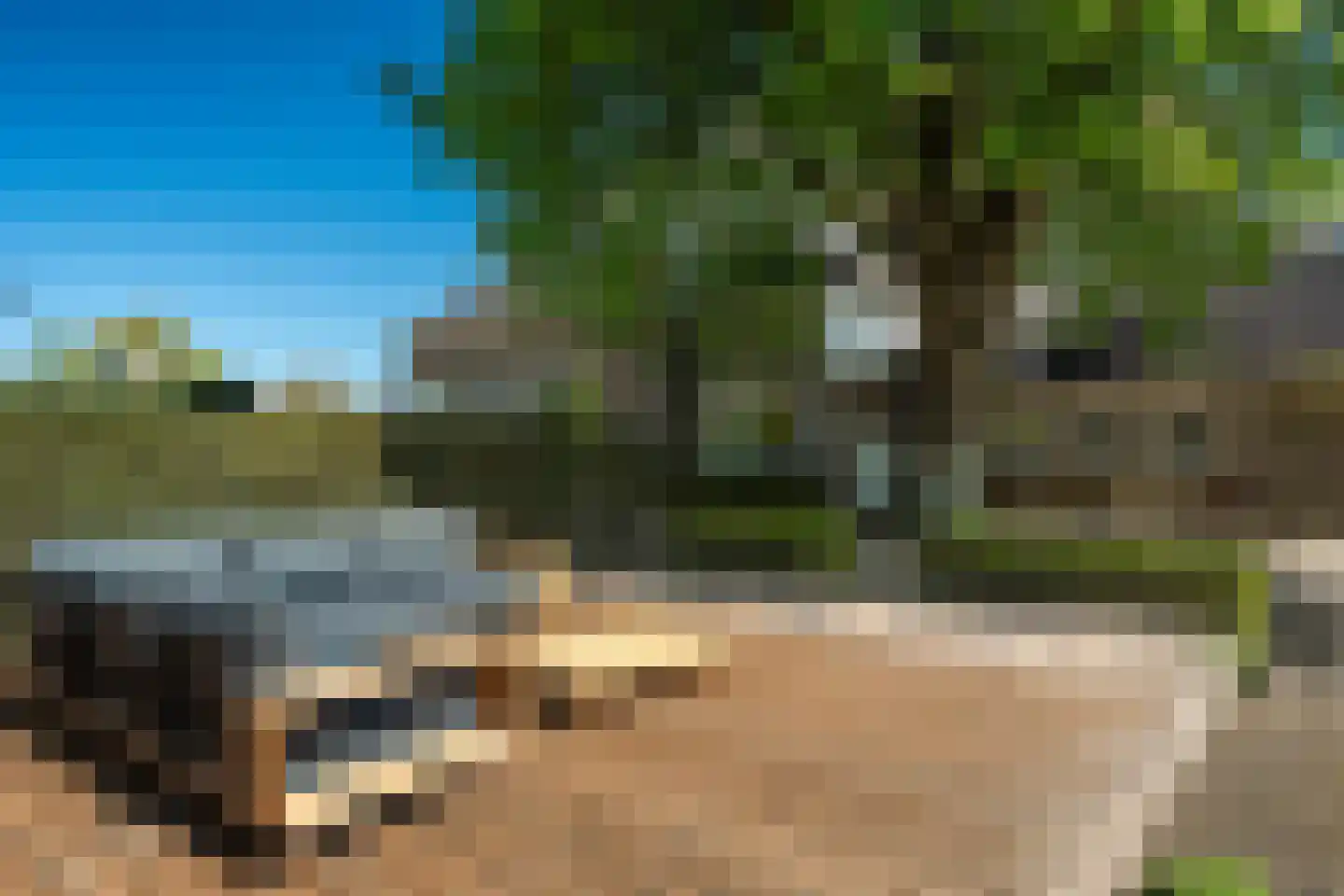 Voorstraat 31 Blije thumbnail 60