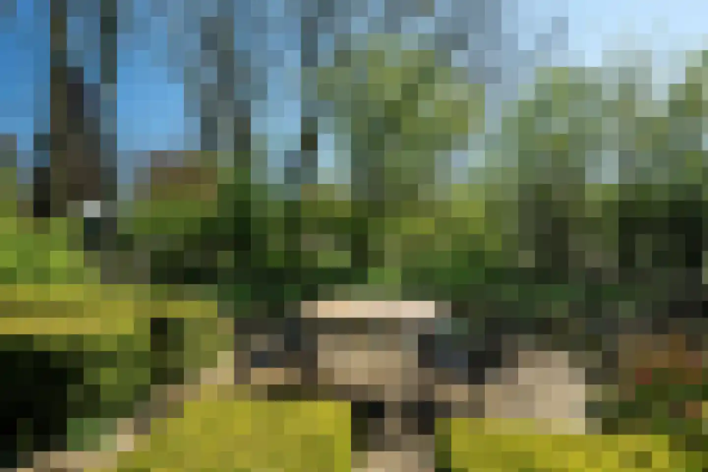 Voorstraat 31 Blije thumbnail 68