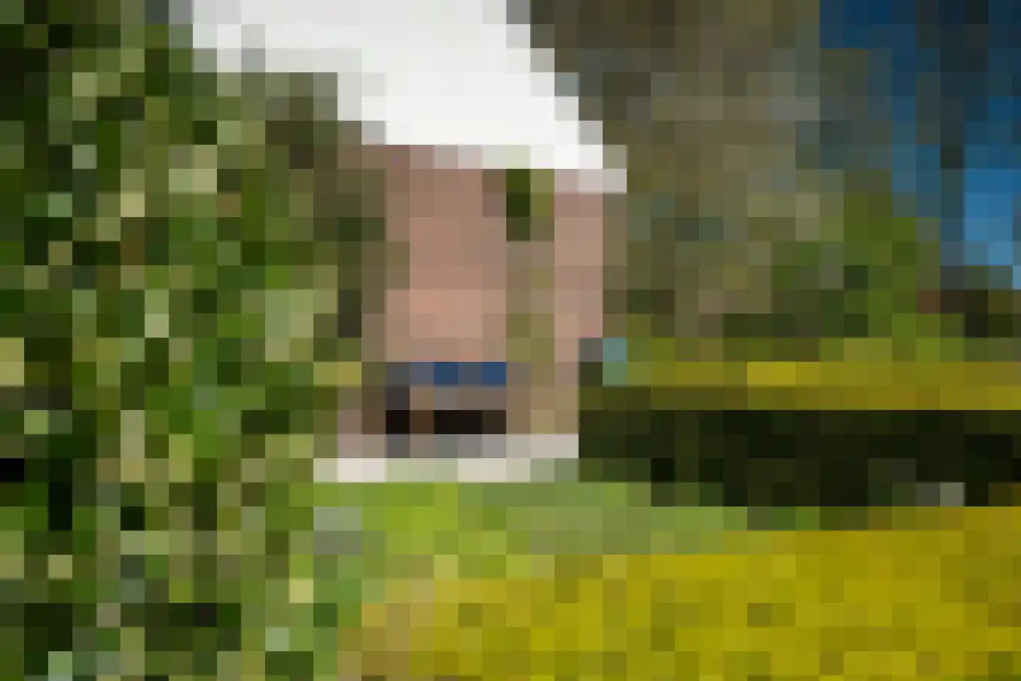 Voorstraat 31 Blije thumbnail 78