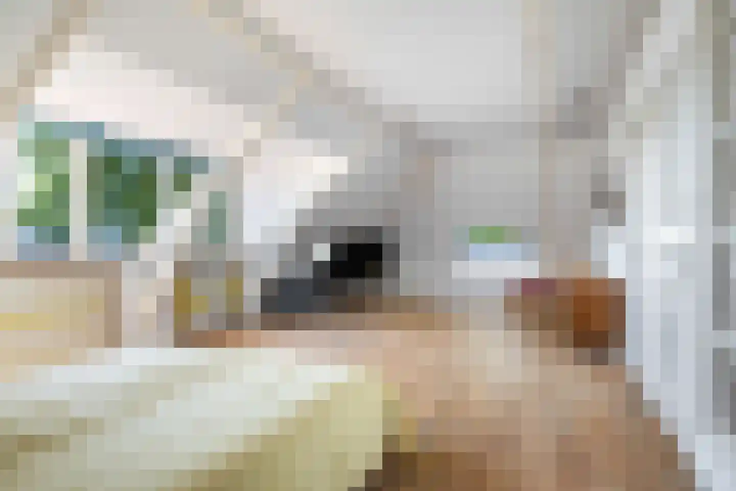 Voorstraat 31 Blije thumbnail 92