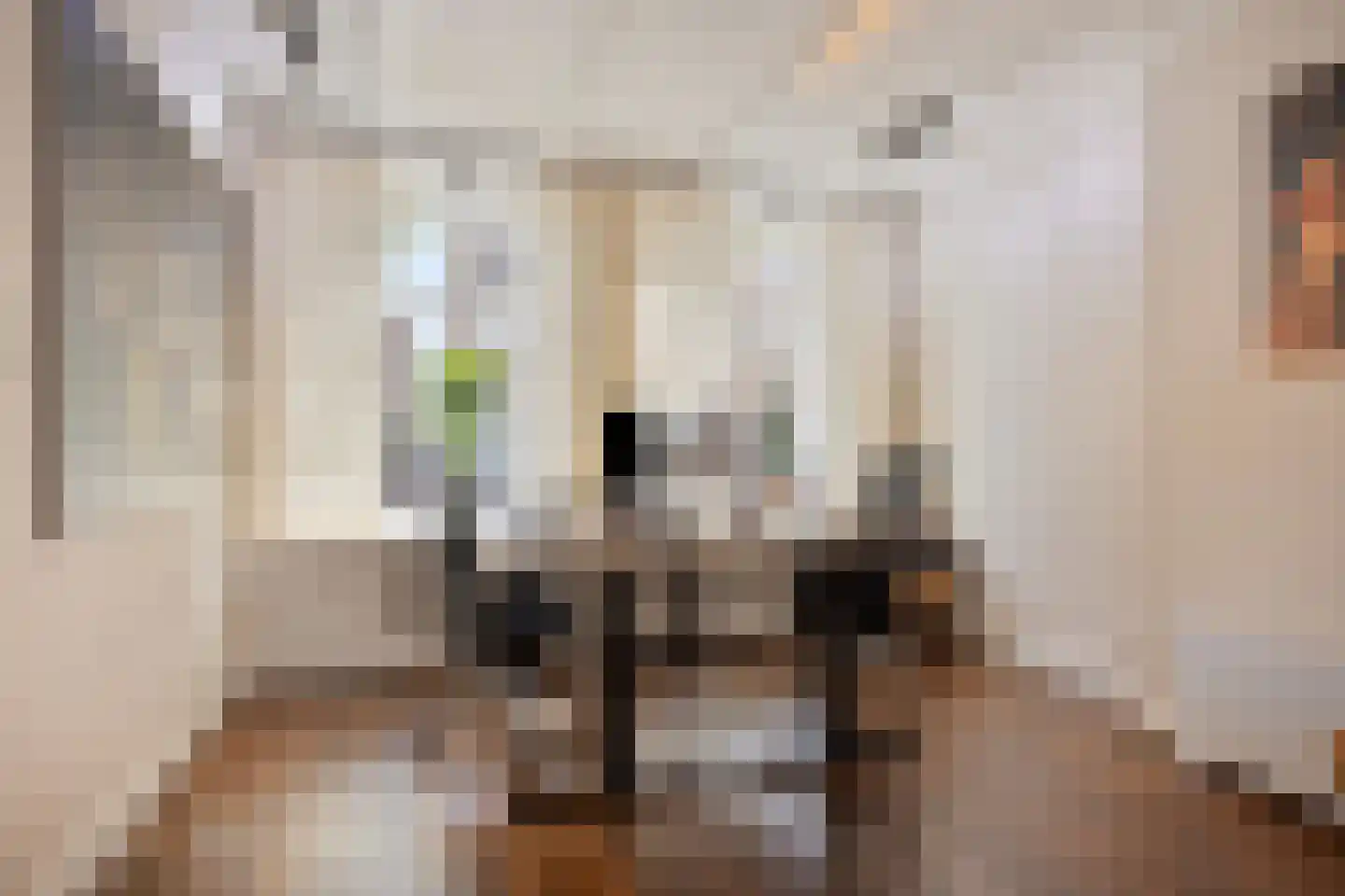 Voorstraat 31 Middelharnis thumbnail 10